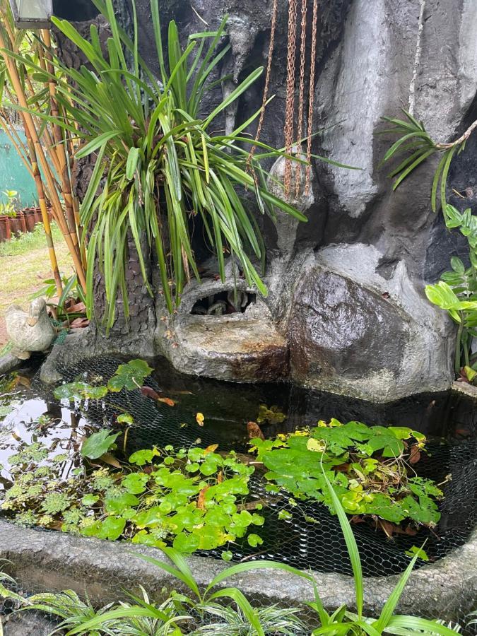 卡斯凯德岩石之家酒店 波隆纳鲁沃 外观 照片